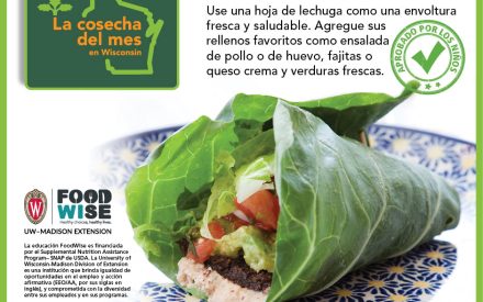 La lechuga Facebook 3