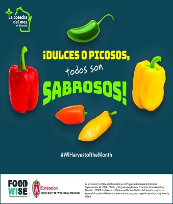 Tarjeta de pimiento