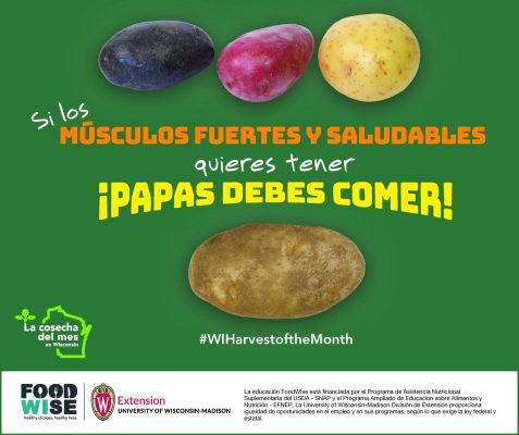 Tarjeta de papas