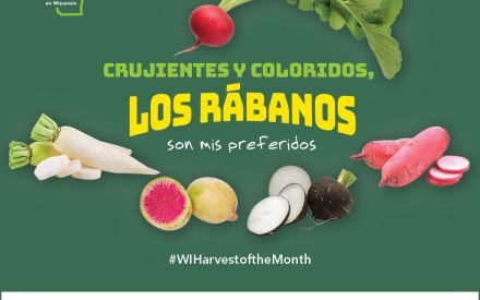Los rábanos Facebook 2