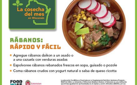Los rábanos Facebook 3