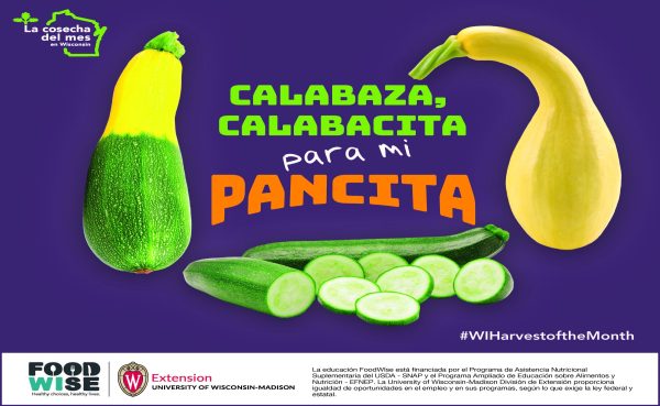 Cartelón de calabazas de verano 11×17