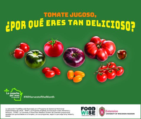 Tarjeta de tomate