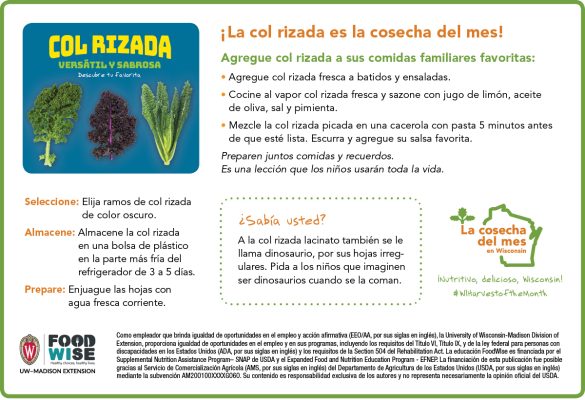 Inserción para el boletín sobre la col rizada
