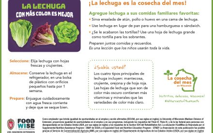 Inserción para el boletín sobre la lechuga