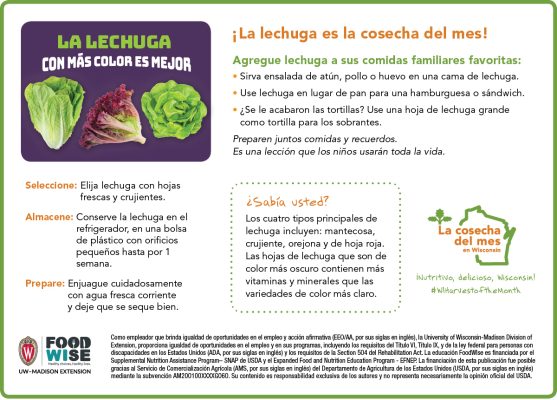 Inserción para el boletín sobre la lechuga