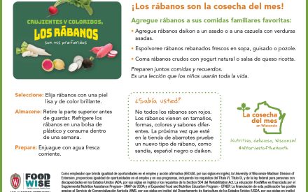Inserción para el boletín sobre los rábanos