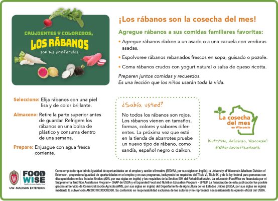 Inserción para el boletín sobre los rábanos