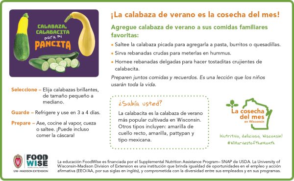 Inserción para el boletín sobre las calabazas de verano