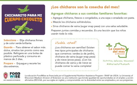 Inserción para el boletín sobre los chícharos