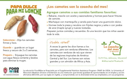 Inserción para el boletín sobre los camotes 