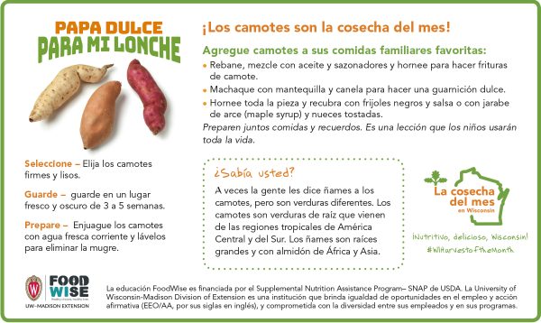 Inserción para el boletín sobre los camotes 