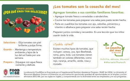 Inserción para el boletín sobre los tomates