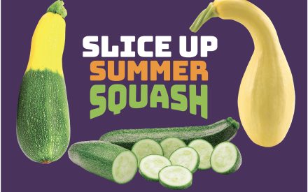 Summer Squash Poster 18×24