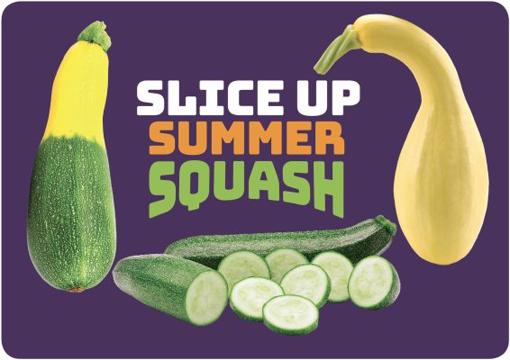 Summer Squash Activity Guide