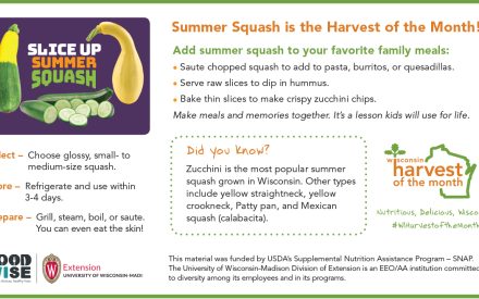 Summer Squash Newsletter Insert