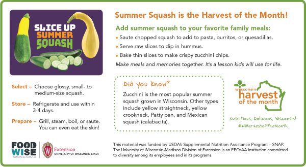 Summer Squash Newsletter Insert