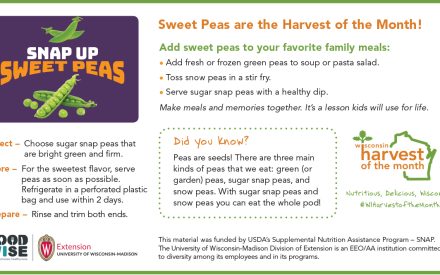 Sweet Peas Newsletter Insert