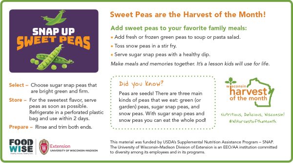 Sweet Peas Newsletter Insert