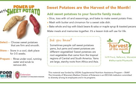 Sweet Potatoes Newsletter Insert