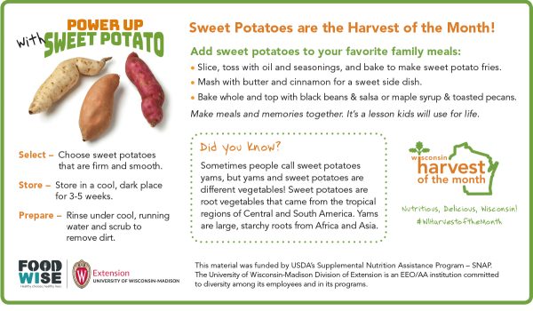 Sweet Potatoes Newsletter Insert