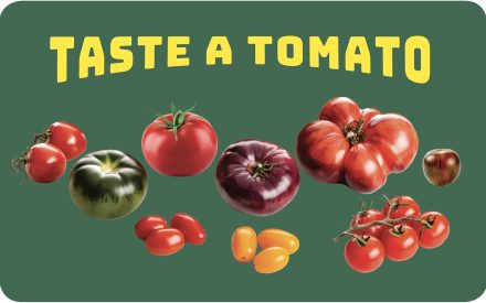 Tomatoes Poster 18×24