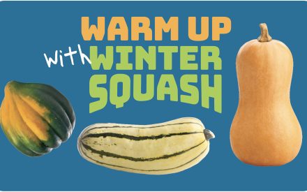 Winter Squash Poster 18×24