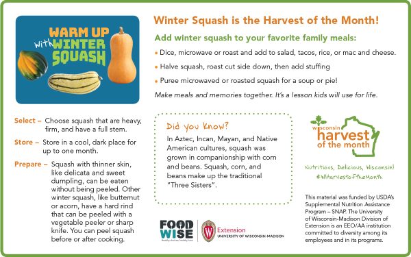 Winter Squash Newsletter Insert