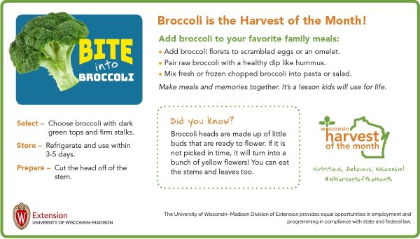 Broccoli Newsletter Insert