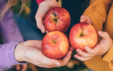 Great Apple Crunch