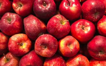 Harvest of the Month: Apples