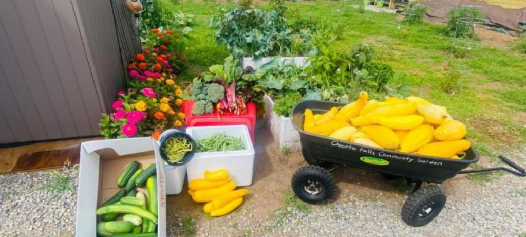 FoodWIse: Growing valuable community resources in Oconto Falls