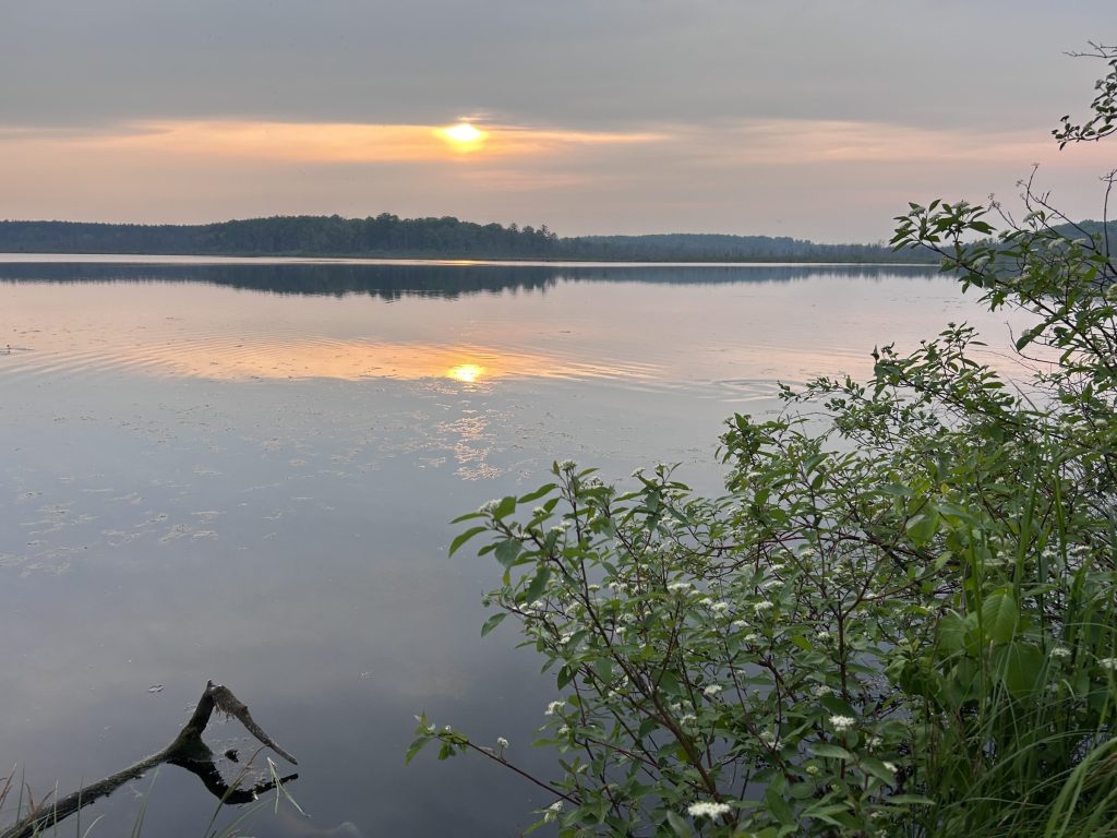 A calm lake at sunset with soft orange and pink light reflecting on the water. Trees line the far shore, and green plants frame the foreground along the edge of the lake.