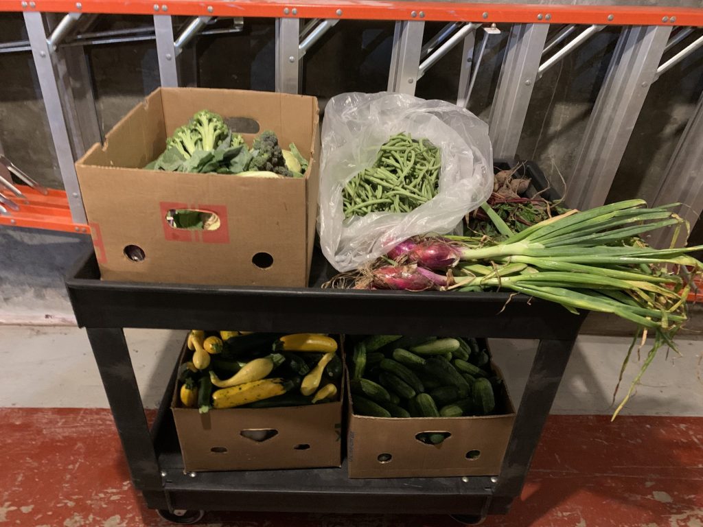 Glean Manitowoc: Sustainable Food Access & Food Recovery