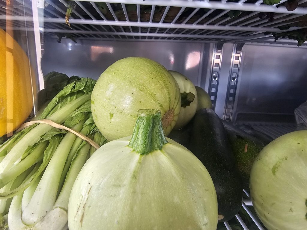 A close-up of round pale-green squash and bunches of bok choy stored on a refrigerator shelf