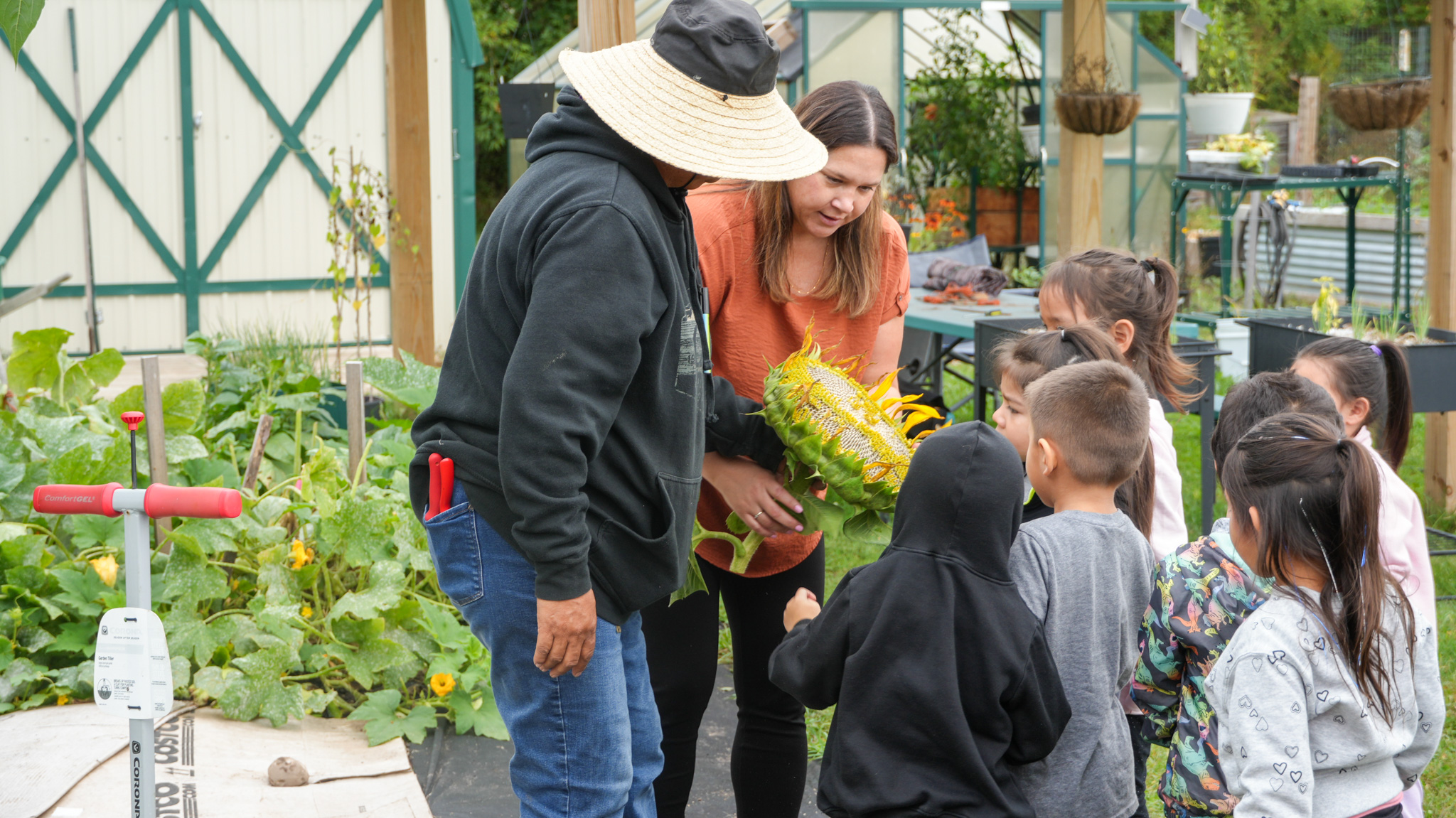 Two adults holding a head of a sunflower for young children to look at.
