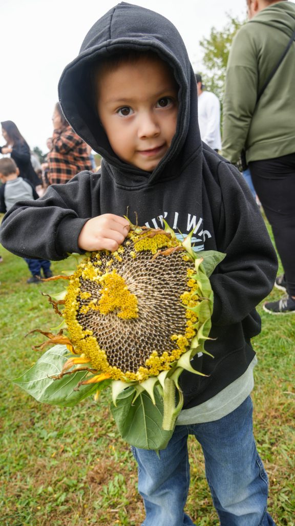 Young boy in a black sweater holding a sunflower head.