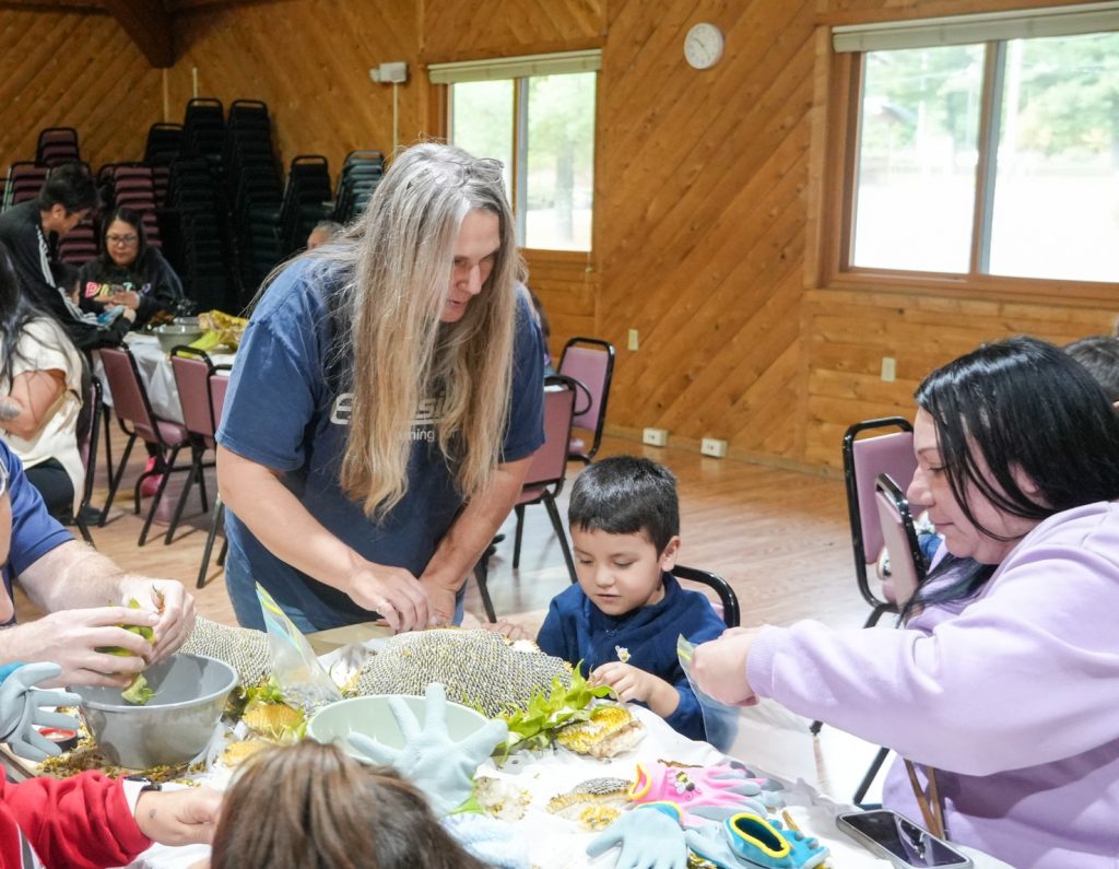 Extension employee leaning over a student who is harvesting sunflower seeds at a table.