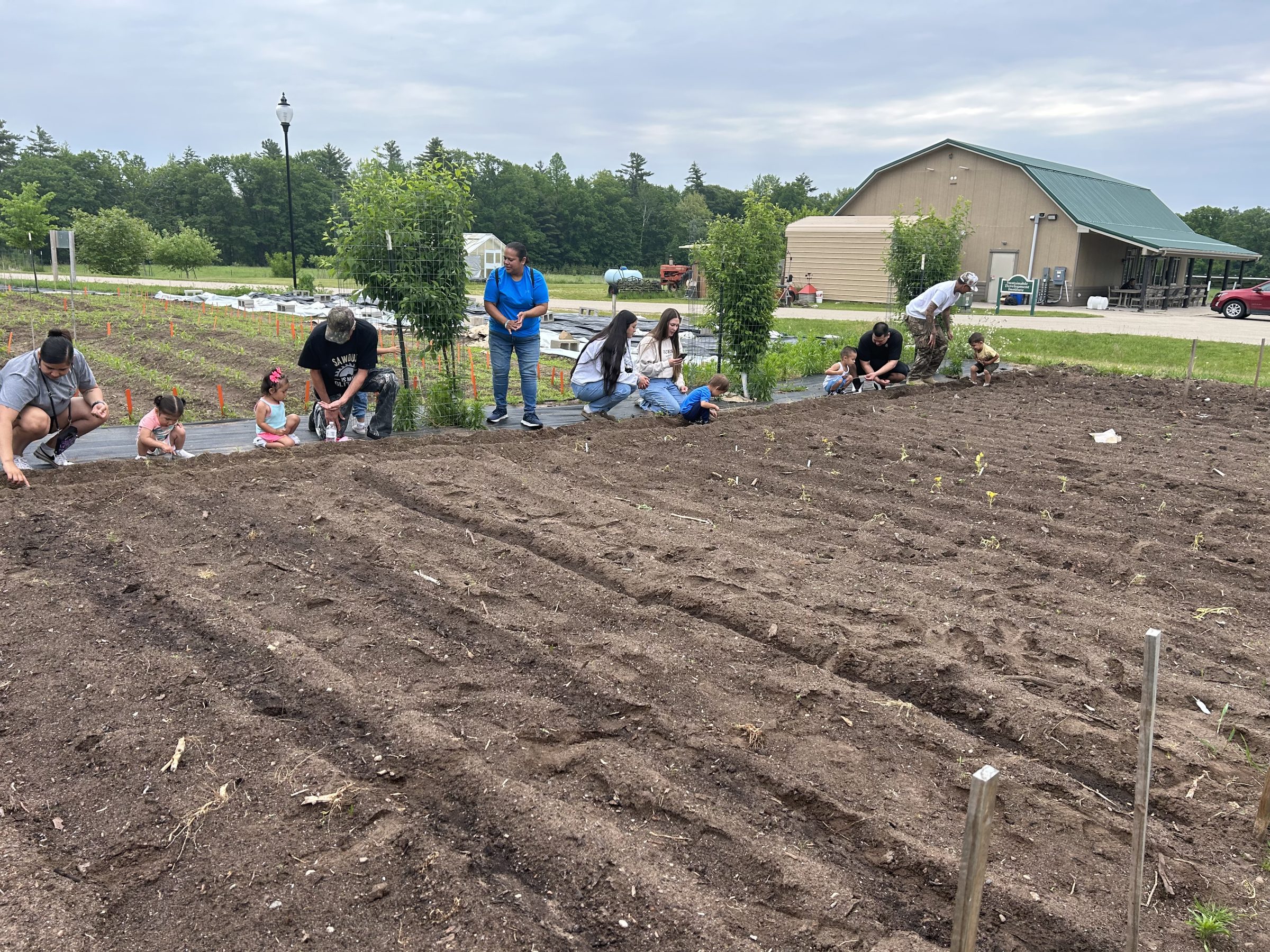 Families planting food in a field. 