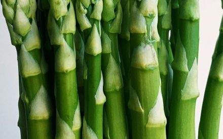Harvest of the Month: Asparagus
