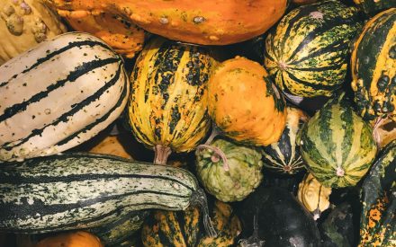 Harvest of the Month: Winter Squash