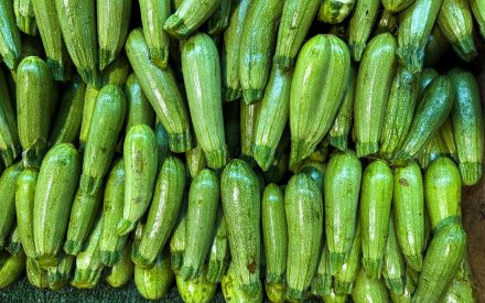 Harvest of the Month: Summer Squash