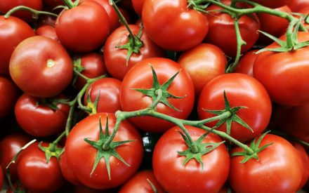 Harvest of the Month: Tomatoes