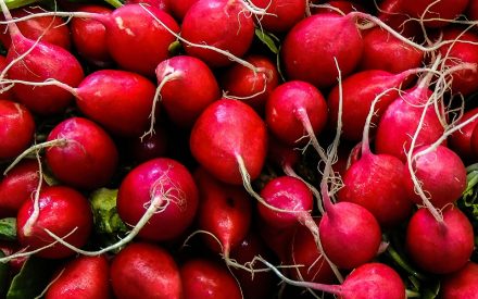 Harvest of the Month: Radish