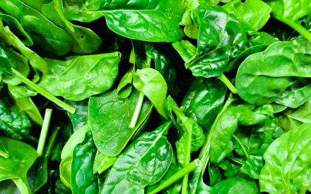 Harvest of the Month: Greens