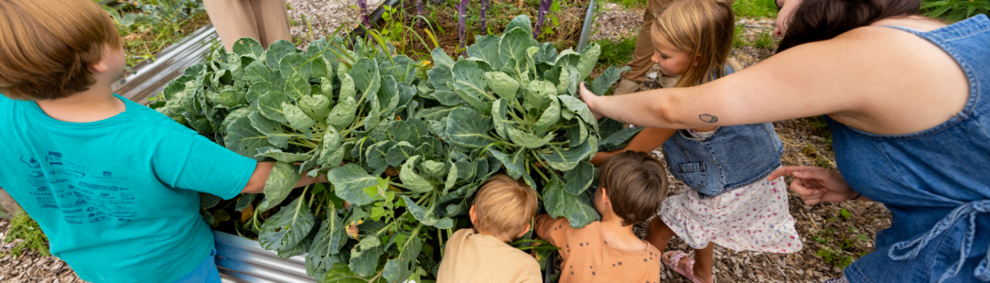Children and adults gather around a raised garden bed, reaching toward and examining large leafy vegetables growing alongside tall purple-stemmed kale.