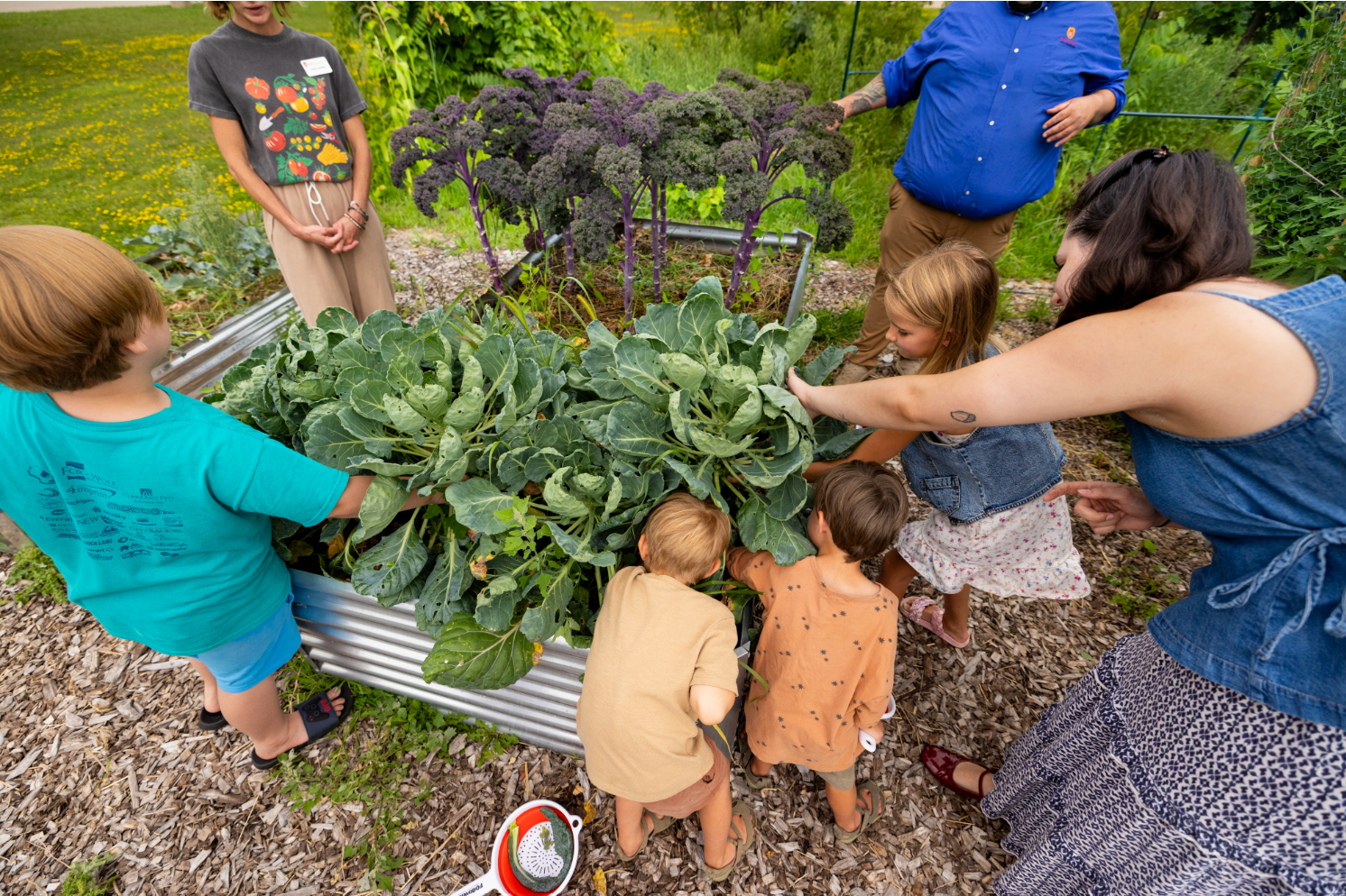 Children and adults gather around a raised garden bed, reaching toward and examining large leafy vegetables growing alongside tall purple-stemmed kale.