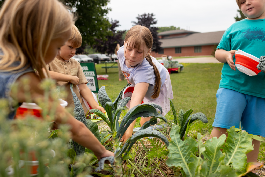 Children gather around a raised garden bed, reaching toward and examining large leafy vegetables.