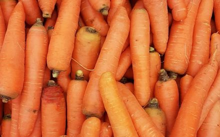 Harvest of the Month: Carrots