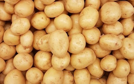 Harvest of the Month: Potatoes